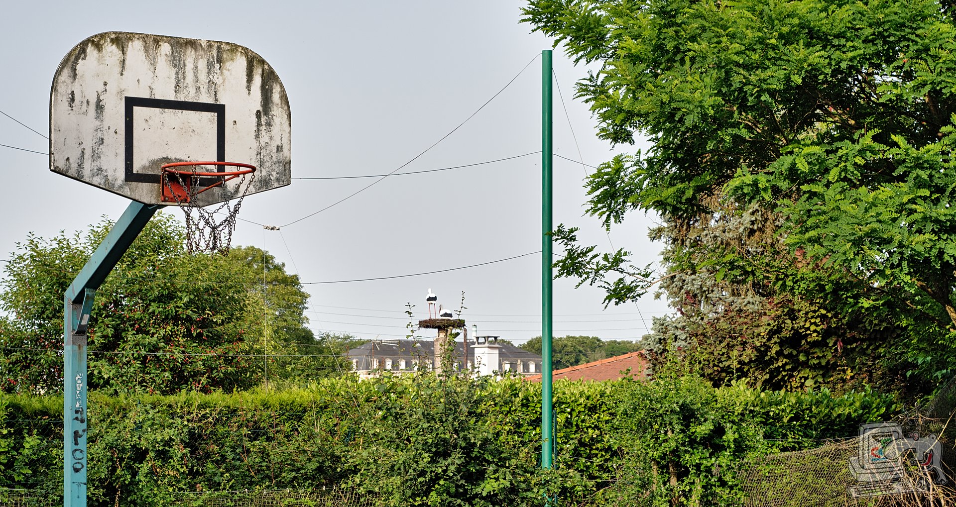 vrb_5142