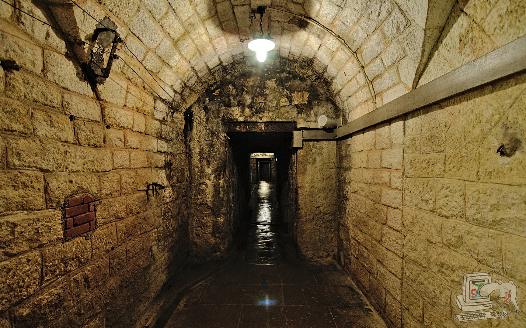 vrb_5639